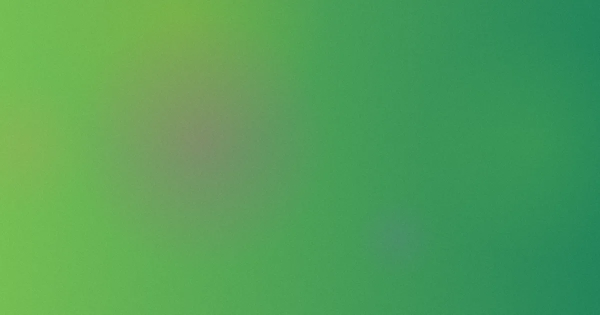 bibi怎么用？我的实测流程